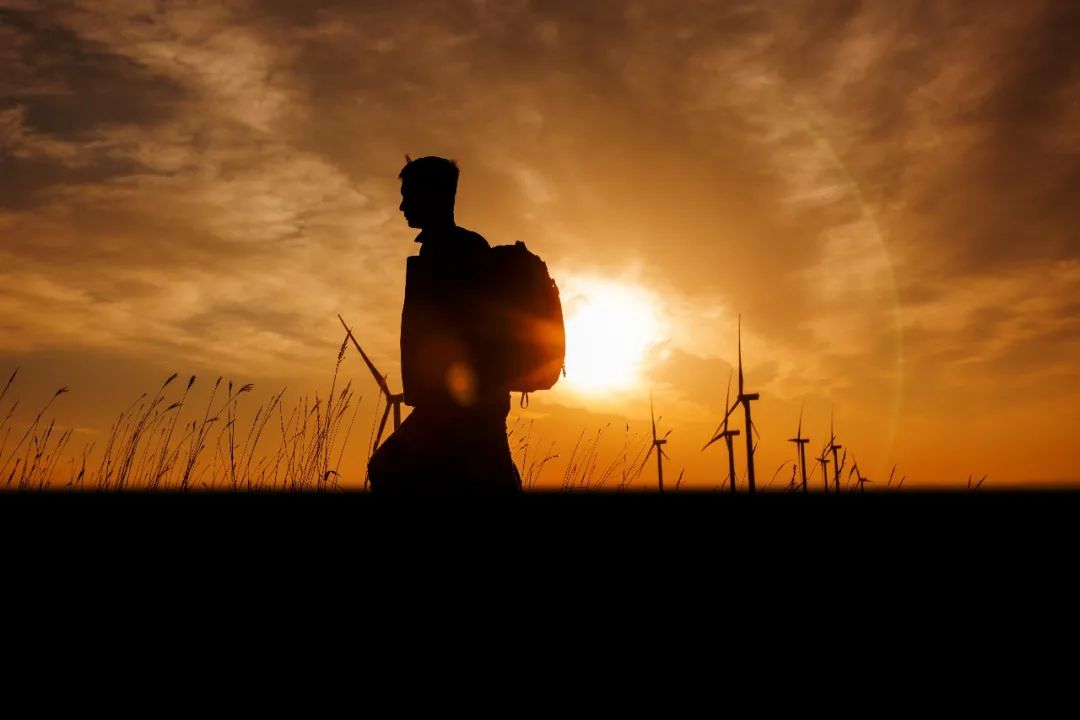 1066vip威尼斯12周年征文丨一等奖《此心安处是吾乡》