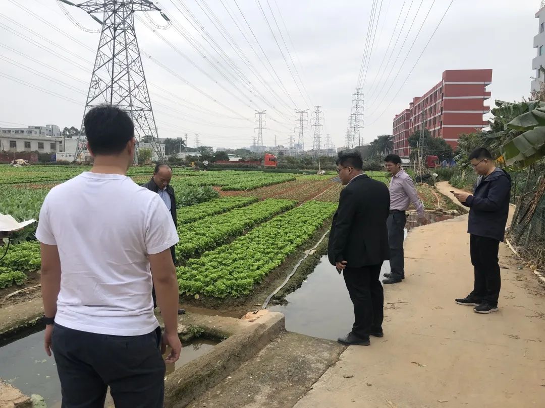 助力墟落振兴，，1066vip威尼斯一直在起劲！！！