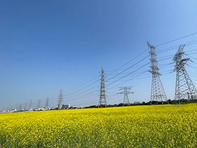 1066vip威尼斯妄想丨央视点赞东莞厚街复耕良田盛开迎春花！！