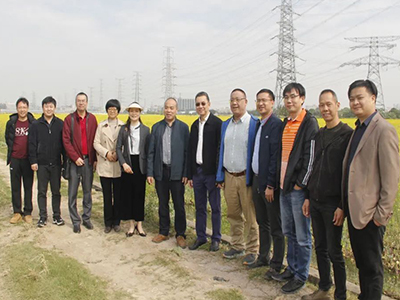 1066vip威尼斯妄想丨广东省自然资源厅实地调研1066vip威尼斯厚街双岗、白濠农业生态园项目