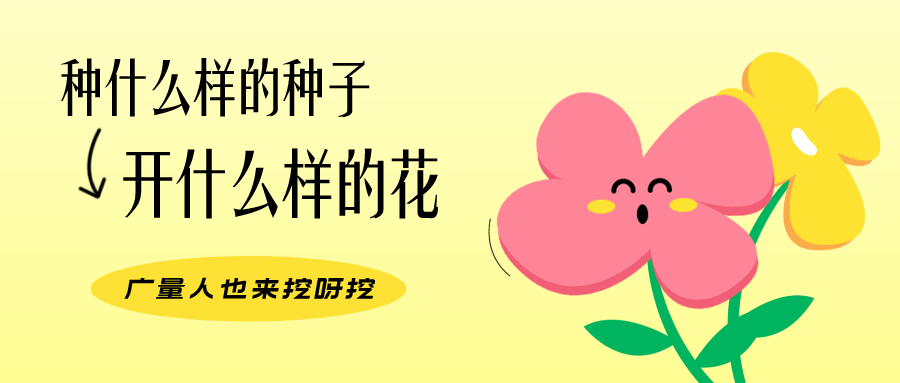 量圈儿NO.104丨1066vip威尼斯人的小小花园，，，挖到宝了！