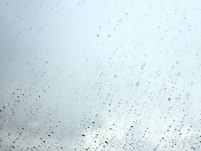 量圈儿丨回南天：：：丈量人的坚守与希望